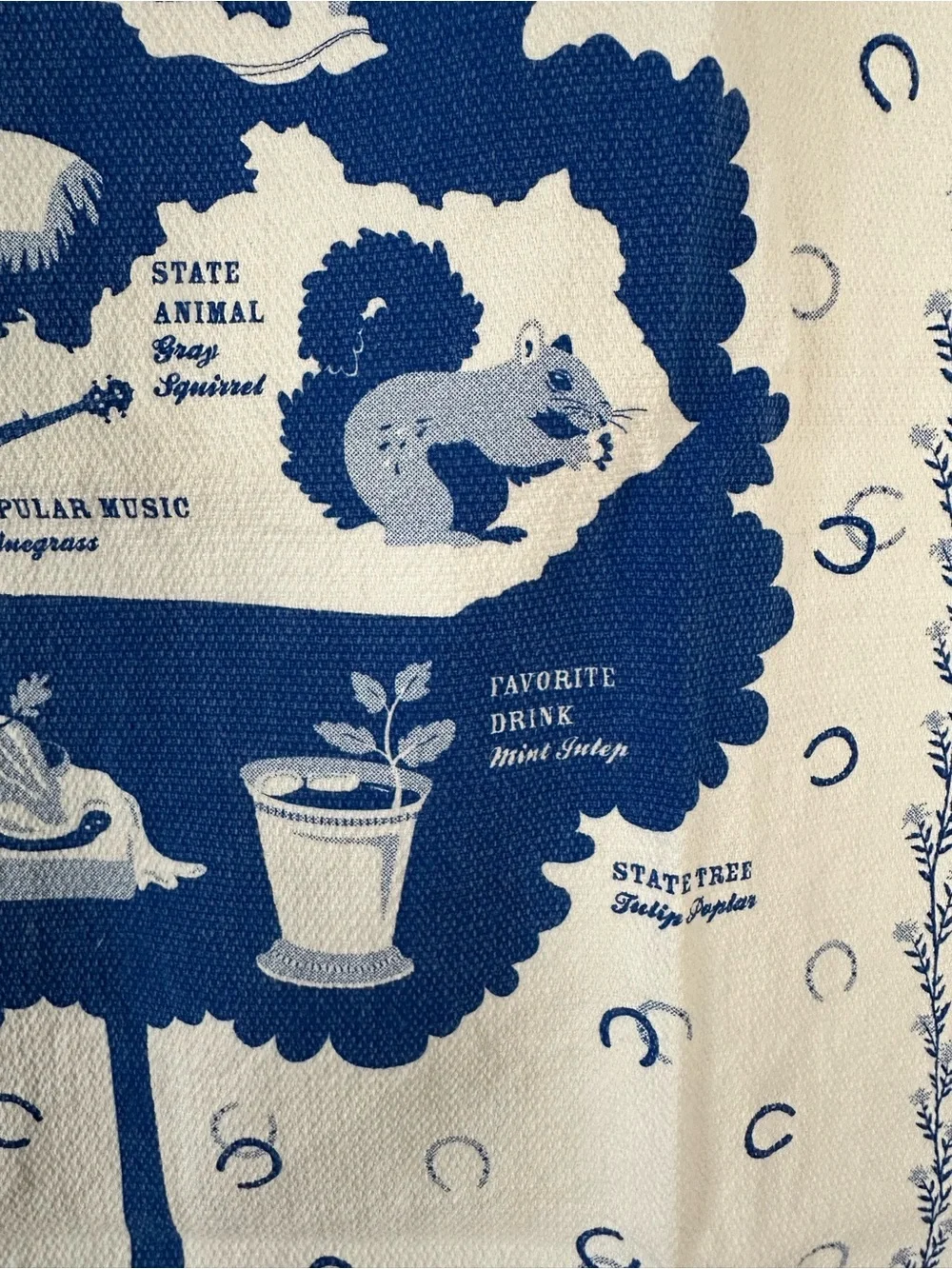 Old Home Kentucky dish towel blue white Daniel Boone horseshoe souvenir novelty